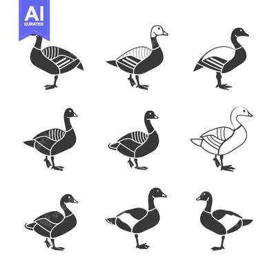 Aset premium populer: Nine Black and White Goose Silhouettes in Various Poses