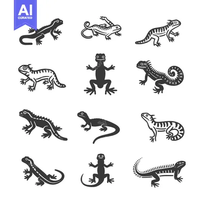 Nine Black and White Lizard Silhouettes