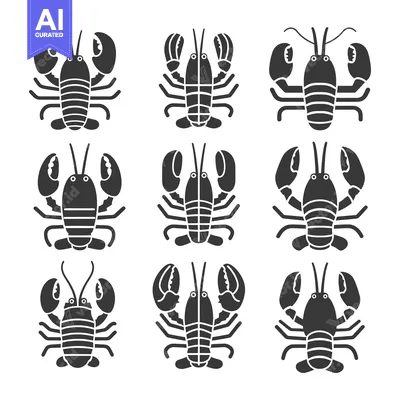 Aset desain premium: Nine Black and White Lobster Illustrations