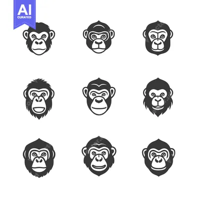 Popular premium asset: Nine Black and White Monkey Faces in a Grid Pattern