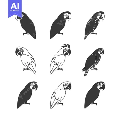 Aset premium populer: Nine Black and White Parrot Silhouettes in Different Poses