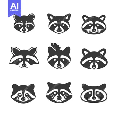 Nine Black and White Raccoon Face Illustrations