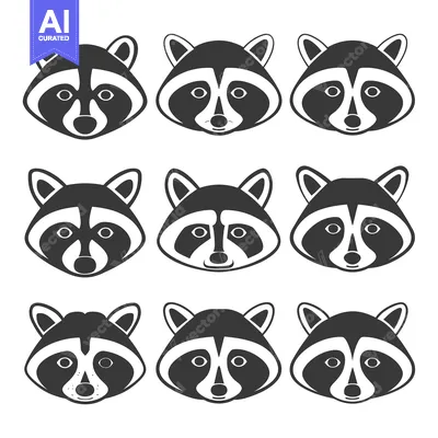 Aset premium populer: Nine Black and White Raccoon Faces