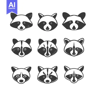 Popular premium asset: Nine Black and White Raccoon Faces in Different Poses
