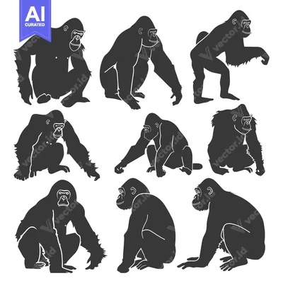 Aset premium populer: Nine Black and White Silhouettes of Gorillas in Various Poses