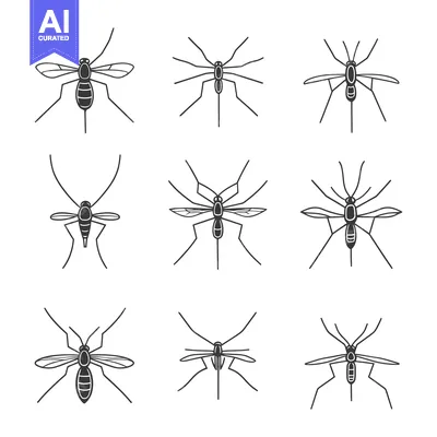 Nine Black Line Drawings of Mosquitoes in Various Poses