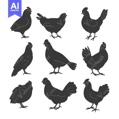 Aset desain premium: Nine Black Silhouettes of Chickens and Roosters