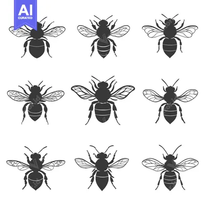 Nine Black Silhouettes of Honey Bees in Flight