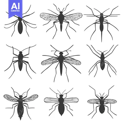 Nine Black Silhouettes of Mosquitoes in Various Poses