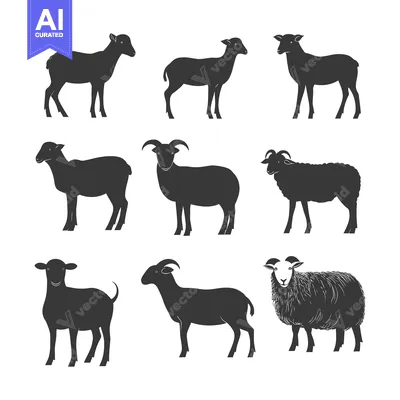 Popular premium asset: Nine Black Silhouettes of Sheep in Various Poses