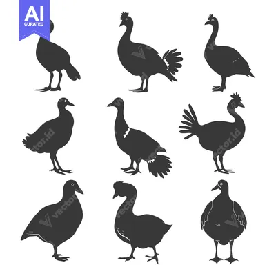 Premium design asset: Nine Black Silhouettes of Various Bird Species