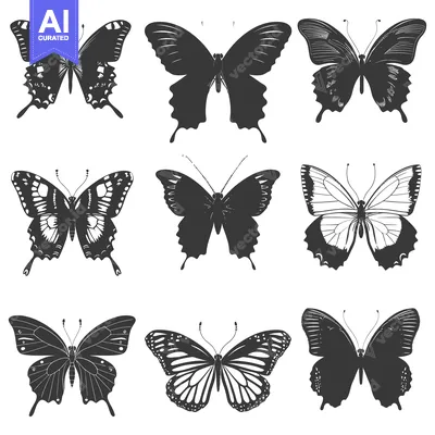 Aset premium populer: Nine Detailed Silhouettes of Butterflies with Spread Wings