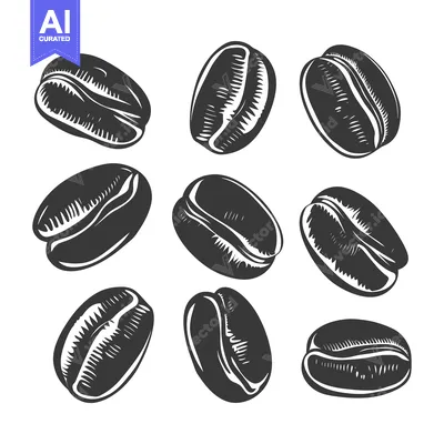 Popular premium asset: Nine Detailed Silhouettes of Coffee Beans