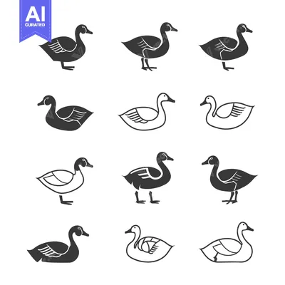 Nine Different Styles of Duck Illustrations
