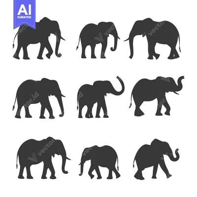 Aset premium populer: Nine Elephant Silhouettes in Various Poses