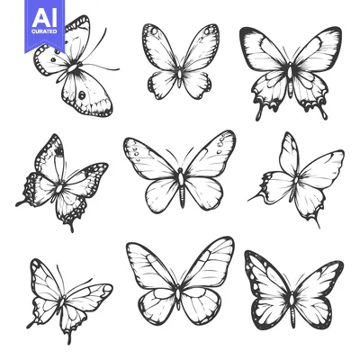 Aset desain premium: Nine Hand-Drawn Butterfly Illustrations in Black and White