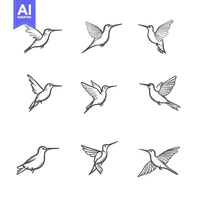 Popular premium asset: Nine Hand-Drawn Hummingbirds in Flight