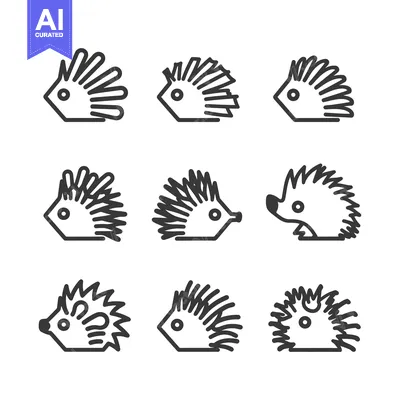 Popular premium asset: Nine Line Drawings of a Hedgehog in Various Poses