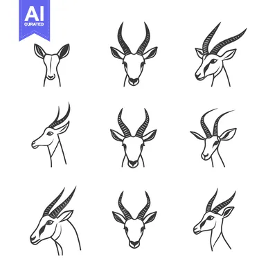 Nine Line Drawings of Gazelle Heads in Different Poses
