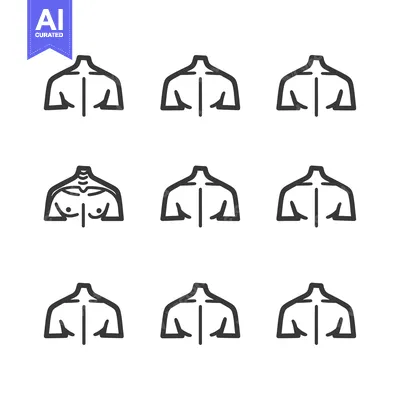 Aset desain premium: Nine Line Drawings of Human Torso from Different Angles