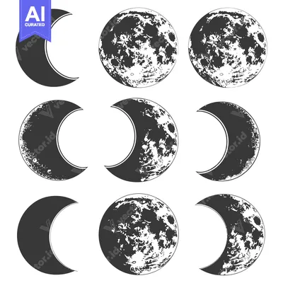 Nine Lunar Phases in a Monochromatic Illustration