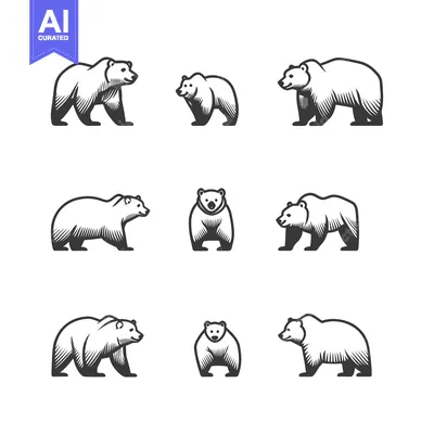 Aset desain premium: Nine Monochrome Bear Illustrations in Various Poses