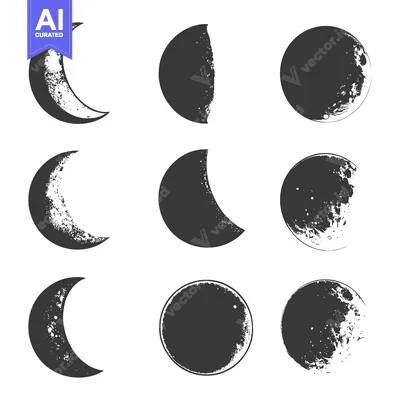 Nine Moon Phases in a Grunge Style Illustration