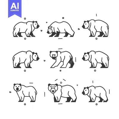 Aset premium populer: Nine Outline Drawings of Bears in Different Poses
