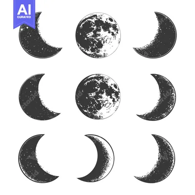 Aset premium populer: Nine Phases of the Moon in Grayscale Illustration