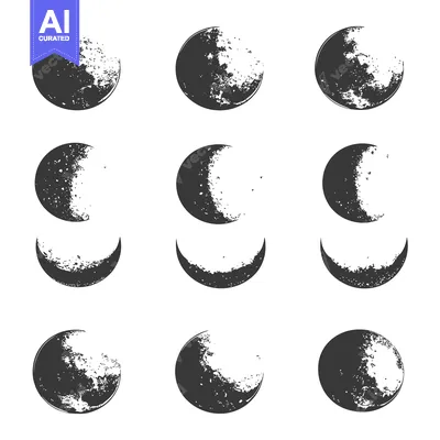 Nine Phases of the Moon with Detailed Surface Texture
