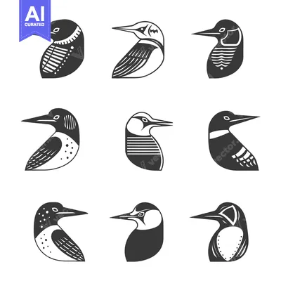 Aset desain premium: Nine stylized black and white loon bird illustrations