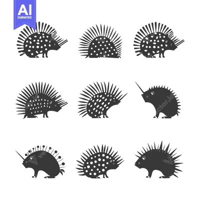 Popular premium asset: Nine Stylized Black and White Porcupine Silhouettes