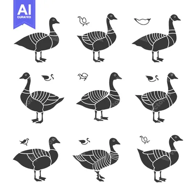Premium design asset: Nine Stylized Black Goose Silhouettes with Small Bird Icons
