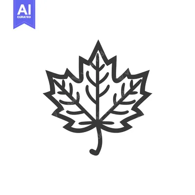A stylized graphic of a leaf with dark outlines on white background