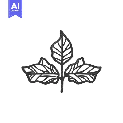 Popular premium asset: A simple illustration depicting several green leaves on a stem
