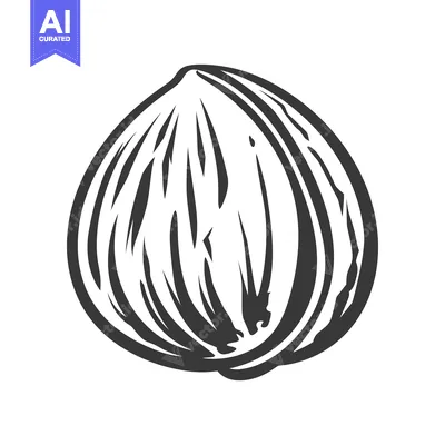 Popular premium asset: A simple black and white drawing of a single nut