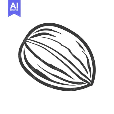 Popular premium asset: A simple black and white illustration of a single almond