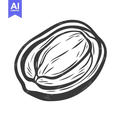 An illustrated black and white image of a halved fruit