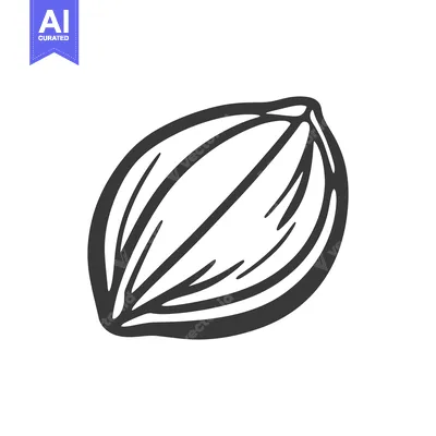 Aset premium populer: A black and white illustration of a single seed pod