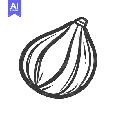 An illustrated onion vegetable in black and white art