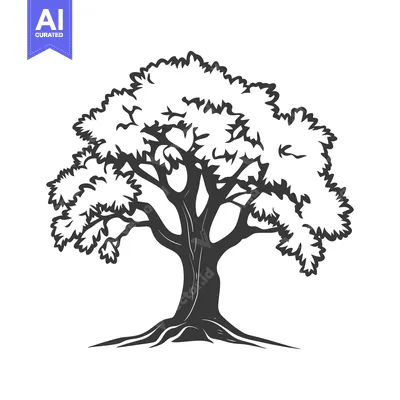A detailed black and white illustration depicting a full grown tree