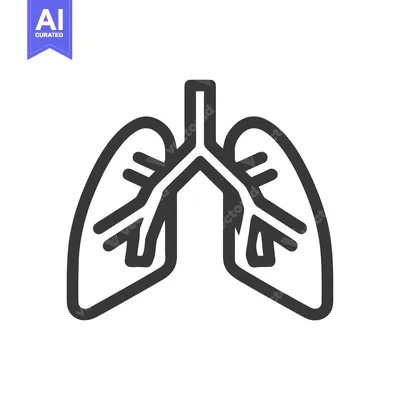 Premium design asset: Minimalist Lungs Icon: Anatomical Outline on White Background