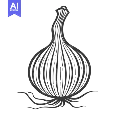 Aset premium populer: The illustration presents an isolated black and white garlic bulb