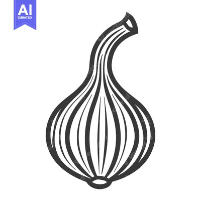 Aset premium populer: Black and white illustration shows a single onion bulb
