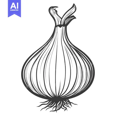 Aset premium populer: An illustrated onion bulb with roots and green leafy shoots