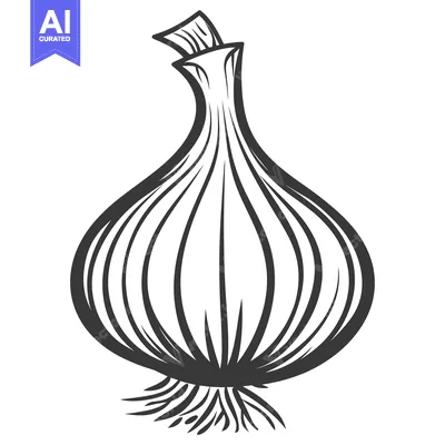 Aset desain premium: A single drawn graphic of a bulb vegetable with leaves