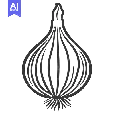 Aset premium populer: A black and white simple drawing of a single onion bulb
