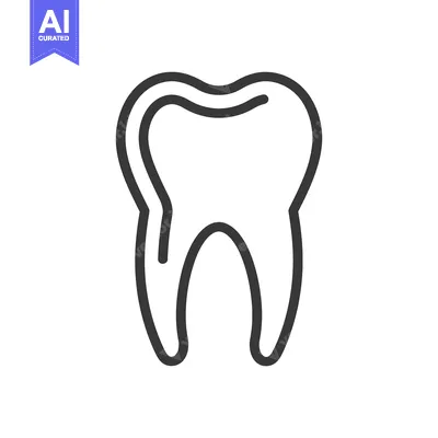 An outlined illustration presenting a molar tooth in a minimalistic st