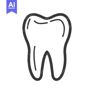 Popular premium asset: A simple line drawing representing an adult human molar tooth