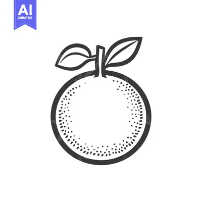 Aset premium populer: A simple line drawing illustration of a citrus fruit with leaves